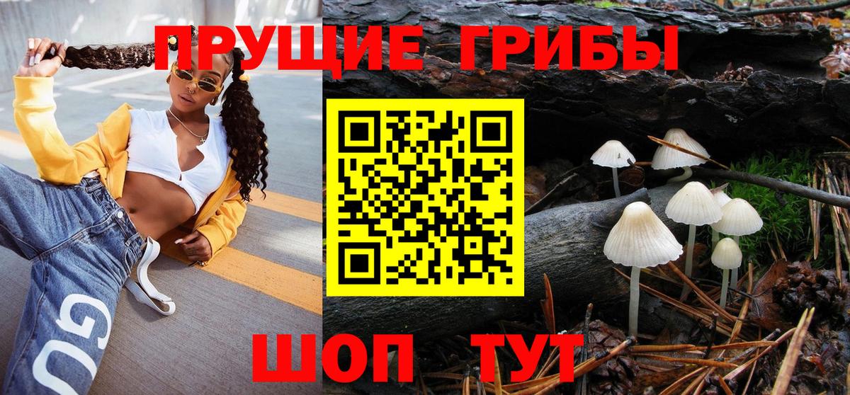 Галлюциногенные грибы Psilocybine cubensis  Вход с VPN  Вышний Волочёк 