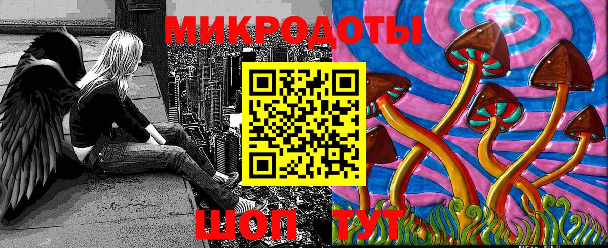 Псилоцибиновые грибы прущие грибы Вышний Волочёк